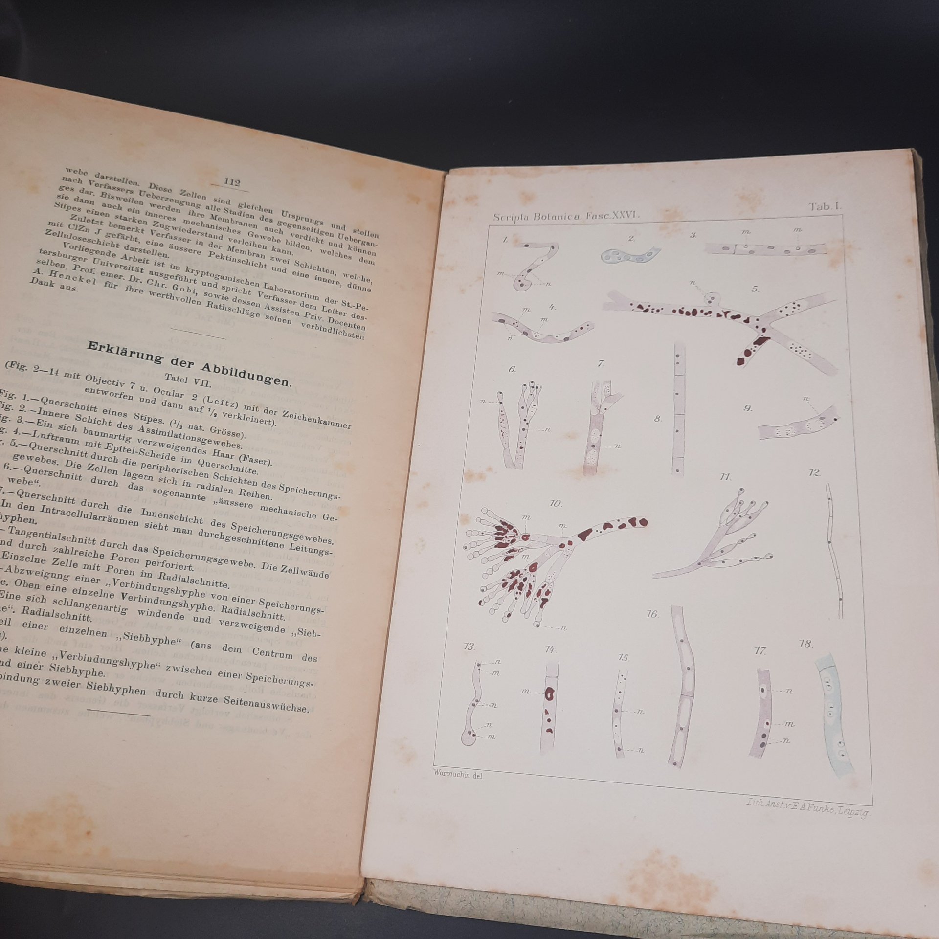 Бекетов А.Н., Гоби Хр. "Ботанические записки, издаваемые при Ботаническом саде Императорского Санкт-Петербургского университета", выпуск 26, бумага, печать, Российская империя, 1908-1909 гг.
