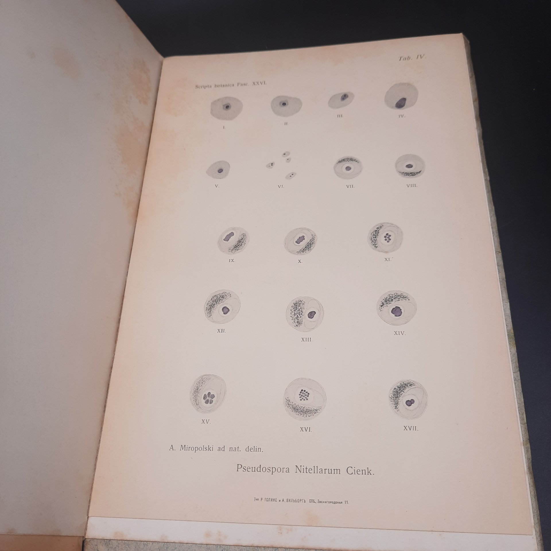 Бекетов А.Н., Гоби Хр. "Ботанические записки, издаваемые при Ботаническом саде Императорского Санкт-Петербургского университета", выпуск 26, бумага, печать, Российская империя, 1908-1909 гг.