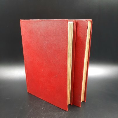 Майков А.Н. Полное собрание сочинений в 4-х томах (в 2-х книгах), бумага, печать, коленкор, Издательство «Товарищество А.Ф. Маркс», Российская империя, 1914 г.