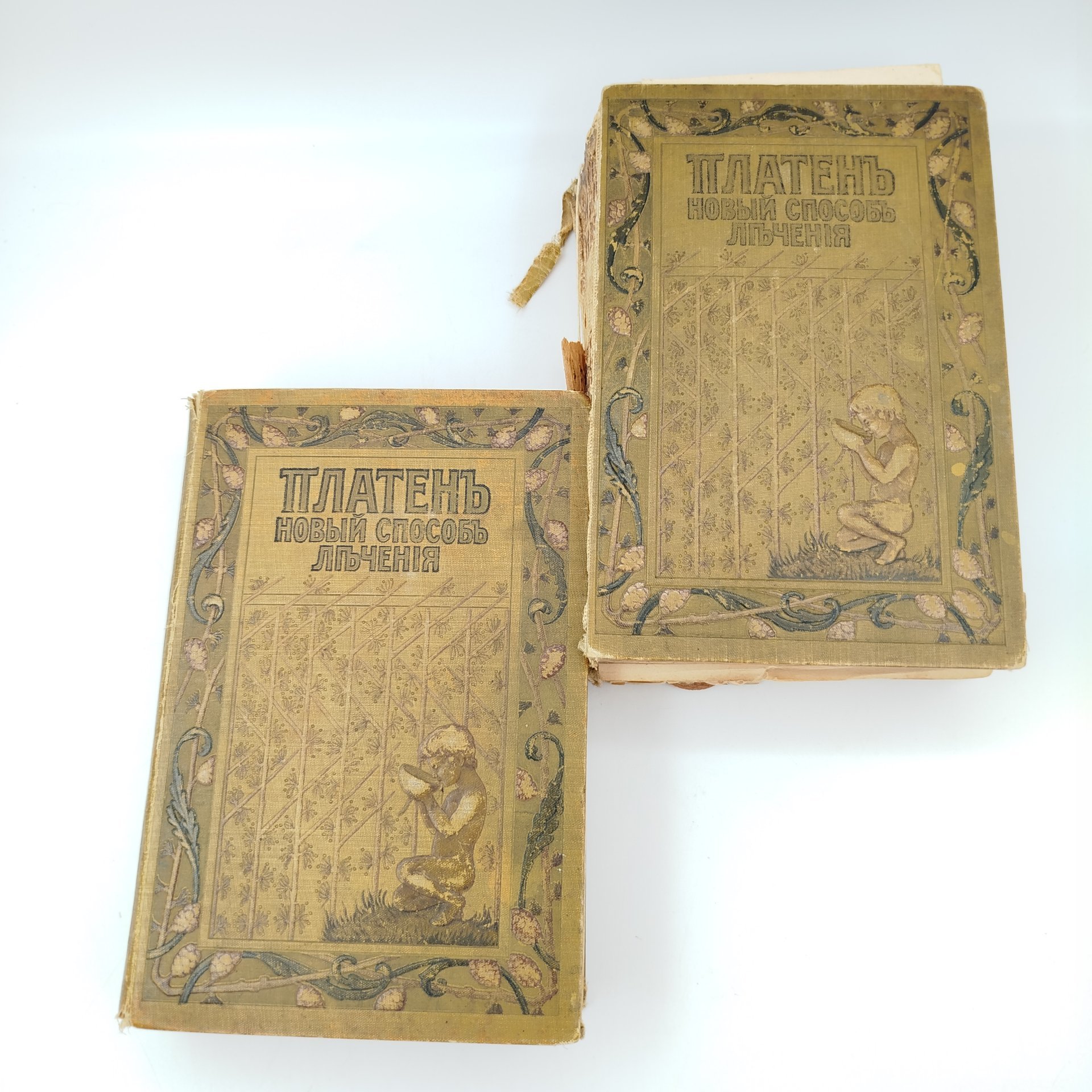 Платен М. «Новый способ лечения», тома 1 и 3, бумага, печать, коленкор, тиснение, Книгоиздательское товарищество «Просвещение», Российская империя, 1900-1910 гг.
