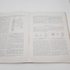 Богданов А.П. "Работы, произведенные в лаборатории зоологического музея Московского университета", том 1, выпуск 2, бумага, печать, Российская империя, 1880 г.