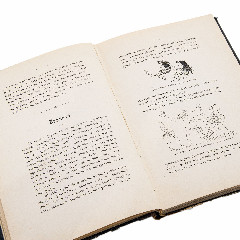 "Стилизация растений" Шуберт Фон-Зольдерн, (профессор Императорско-Королевской высшей технической школы)