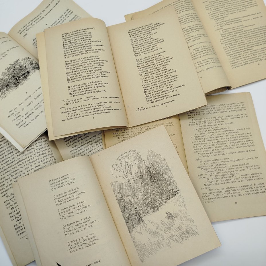 Набор из 6-ти детских книг из серии "Книга за книгой" (И. Соколов-Микитов "От весны до весны", "Моргунов Падун", Р. Погодин "Муравьиное масло", Д.В. Григорович "Гуттаперчевый мальчик", И. Кожедуб "В воздушных боях", Э. Багрицкий "Звезда мордвина"), Издательство «Детская литература» (Детгиз)