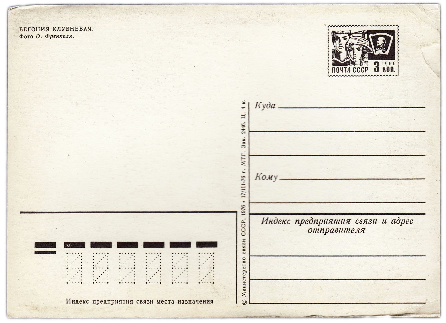 Открытка (открытое письмо) "Бегония клубневая" фот. Френкель 1976