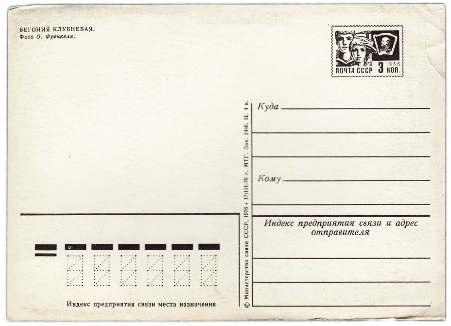 Открытка (открытое письмо) "Бегония клубневая" фот. Френкель 1976