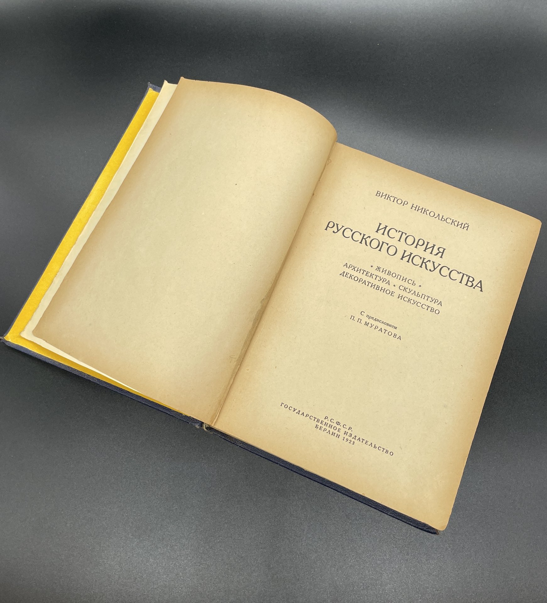 Книга Виктор Никольский "История русского искусства" (живопись, архитектура, скульптура, декоративное искусство), Государственное издательство РСФСР