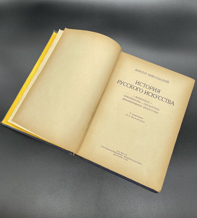 Книга Виктор Никольский "История русского искусства" (живопись, архитектура, скульптура, декоративное искусство), Государственное издательство РСФСР