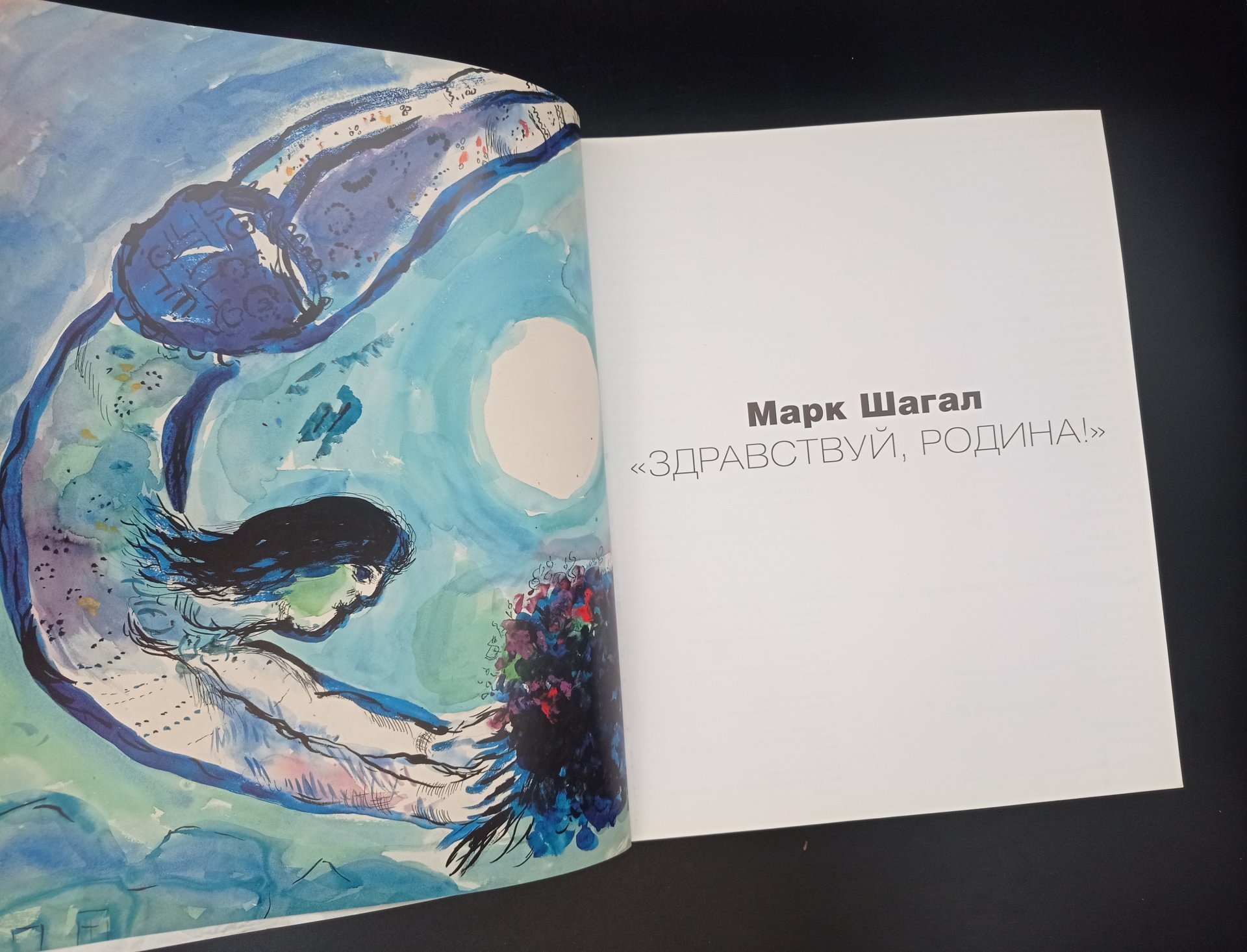 Книга "Марк Шагал. Здравствуй, родина!", ответственный редактор Яков Брук, Государственная Третьяковская галерея, издательство "СканРус"