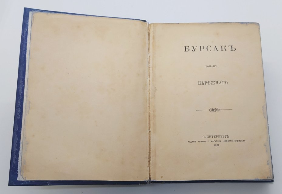 Нарежный В.Т. "Бурсак", бронза, печать, Типография А.С. Суворина, Типография А.С. Суворина