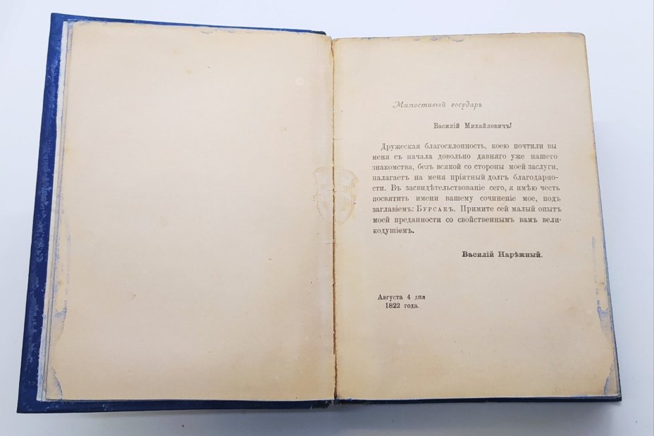 Нарежный В.Т. "Бурсак", бронза, печать, Типография А.С. Суворина, Типография А.С. Суворина