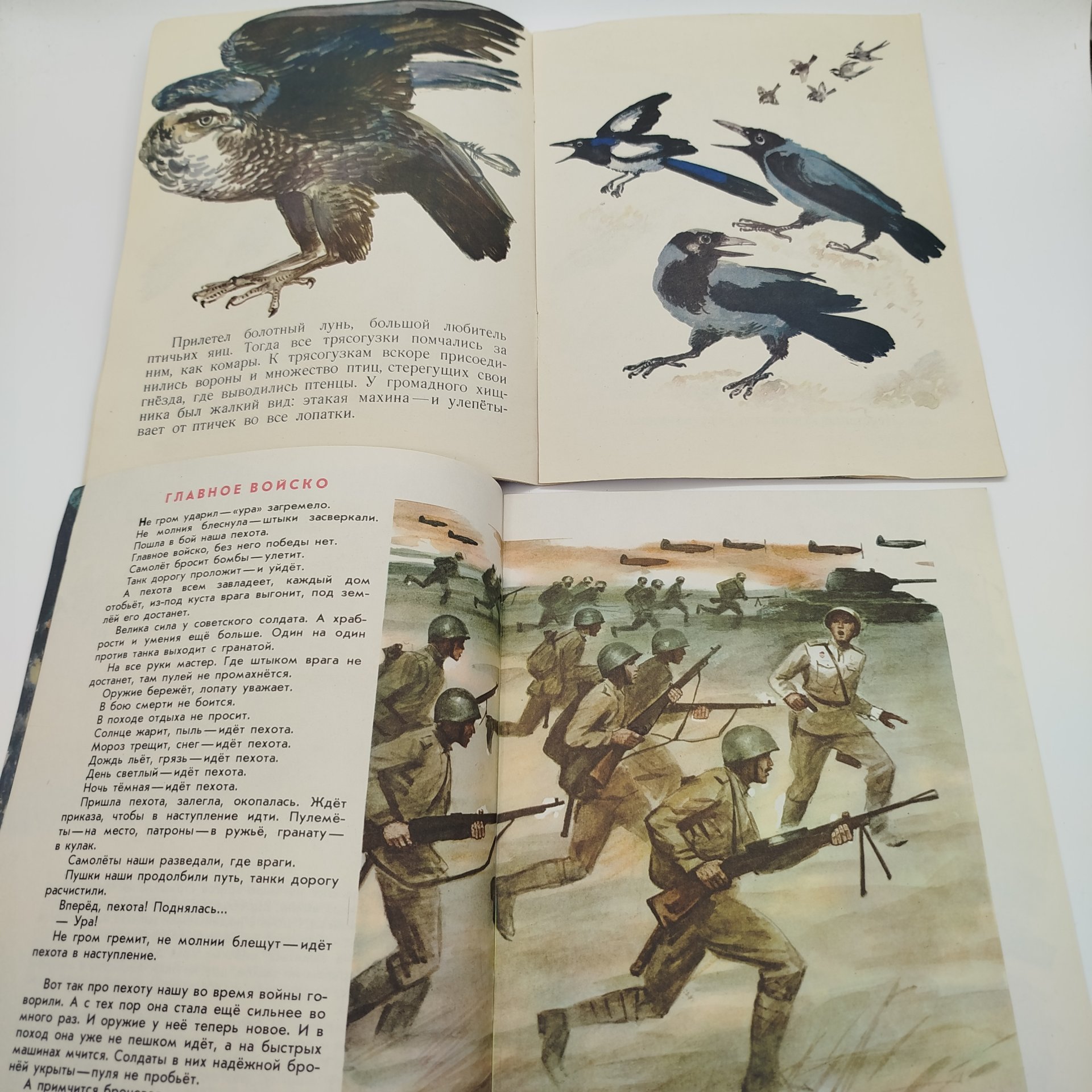 Набор из 5-ти детских книг (Г. Снегирёв "У обезьян", Л. Кассиль "Твои защитники", М. Пришвин "Гости", "Пряничный домик", С. Прокофьева "Часы с кукушкой"), Издательство "Малыш"