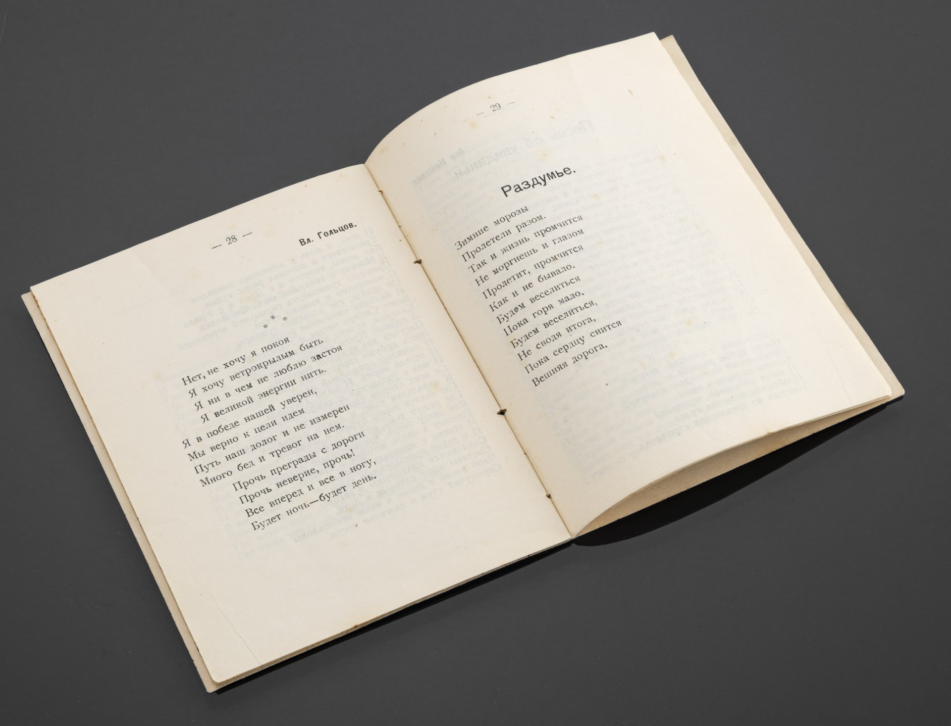 Книга "Стожары" (сборник стихов), Гостиполитография
