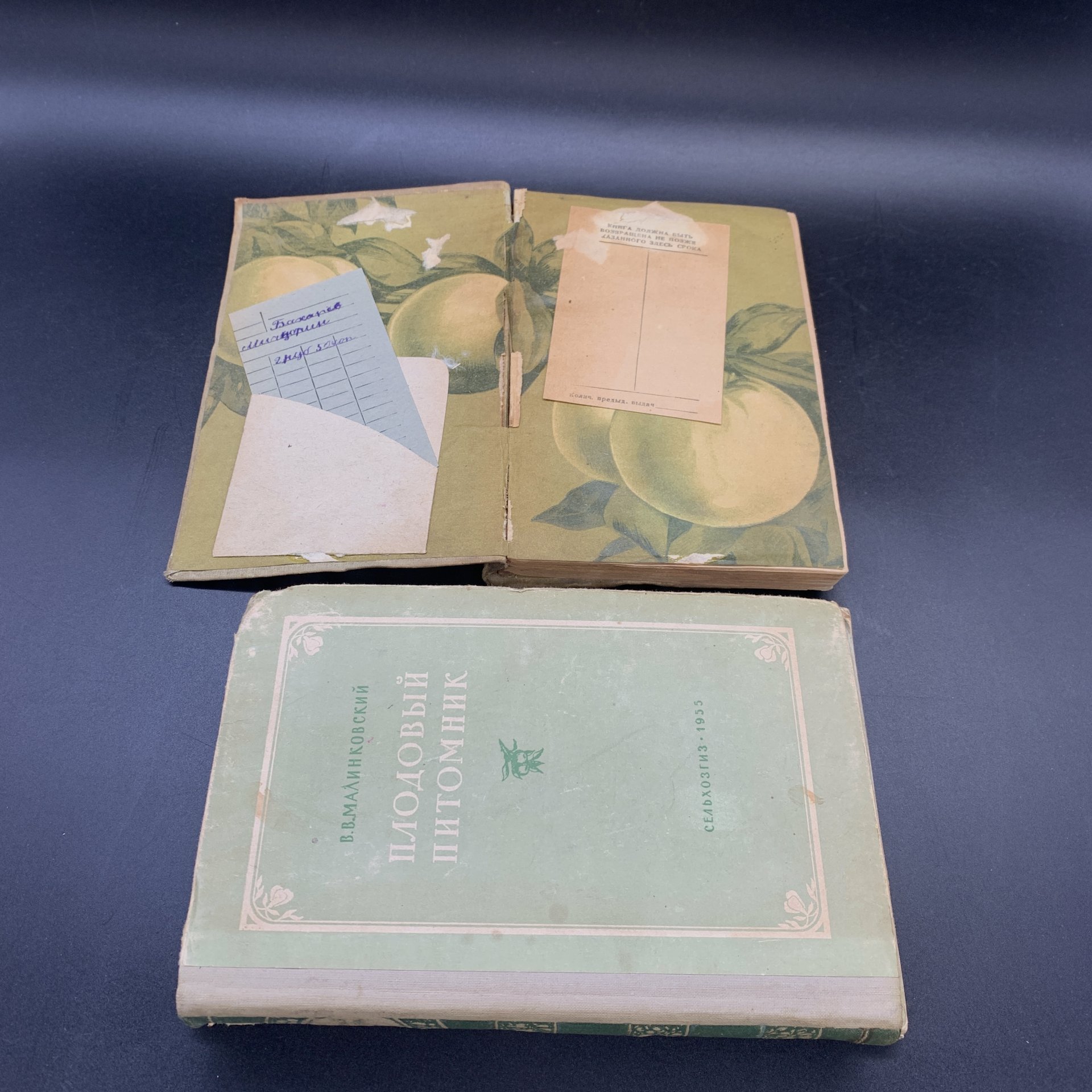 Книги "Плодовый питомник", "И.В. Мичурин", "Пересадка деревьев и кустарников летом", "Использование знаний о климате  и погоде в плодоводстве"