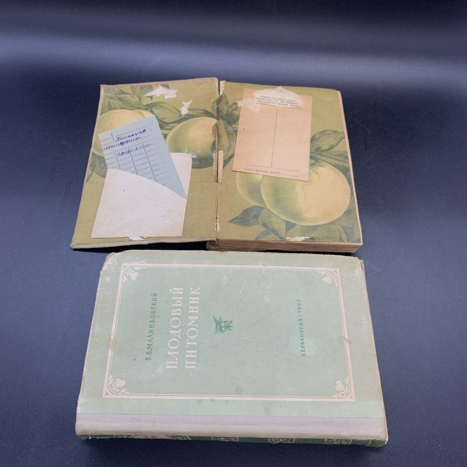 Книги "Плодовый питомник", "И.В. Мичурин", "Пересадка деревьев и кустарников летом", "Использование знаний о климате  и погоде в плодоводстве"