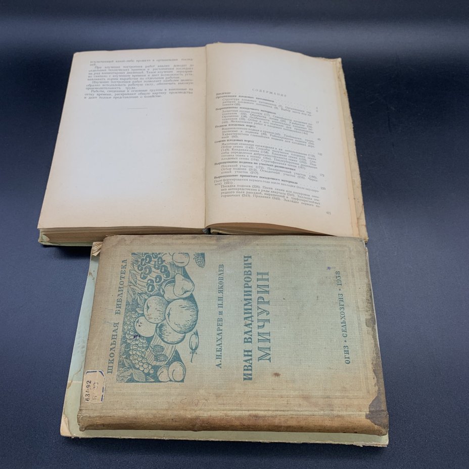 Книги "Плодовый питомник", "И.В. Мичурин", "Пересадка деревьев и кустарников летом", "Использование знаний о климате  и погоде в плодоводстве"