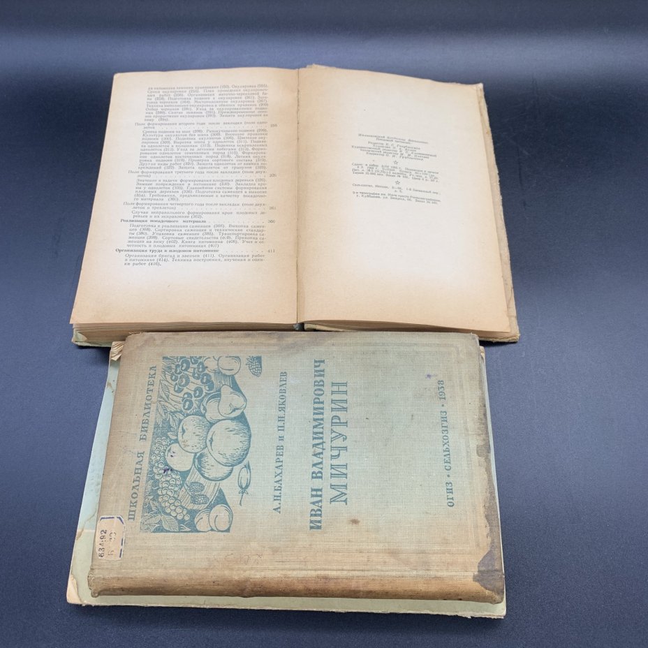 Книги "Плодовый питомник", "И.В. Мичурин", "Пересадка деревьев и кустарников летом", "Использование знаний о климате  и погоде в плодоводстве"