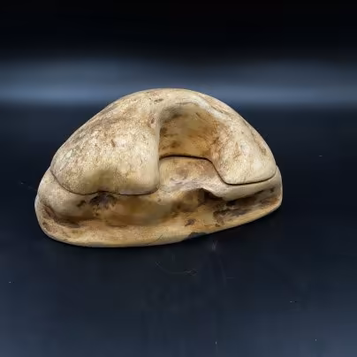 Шкатулка из корня дерева