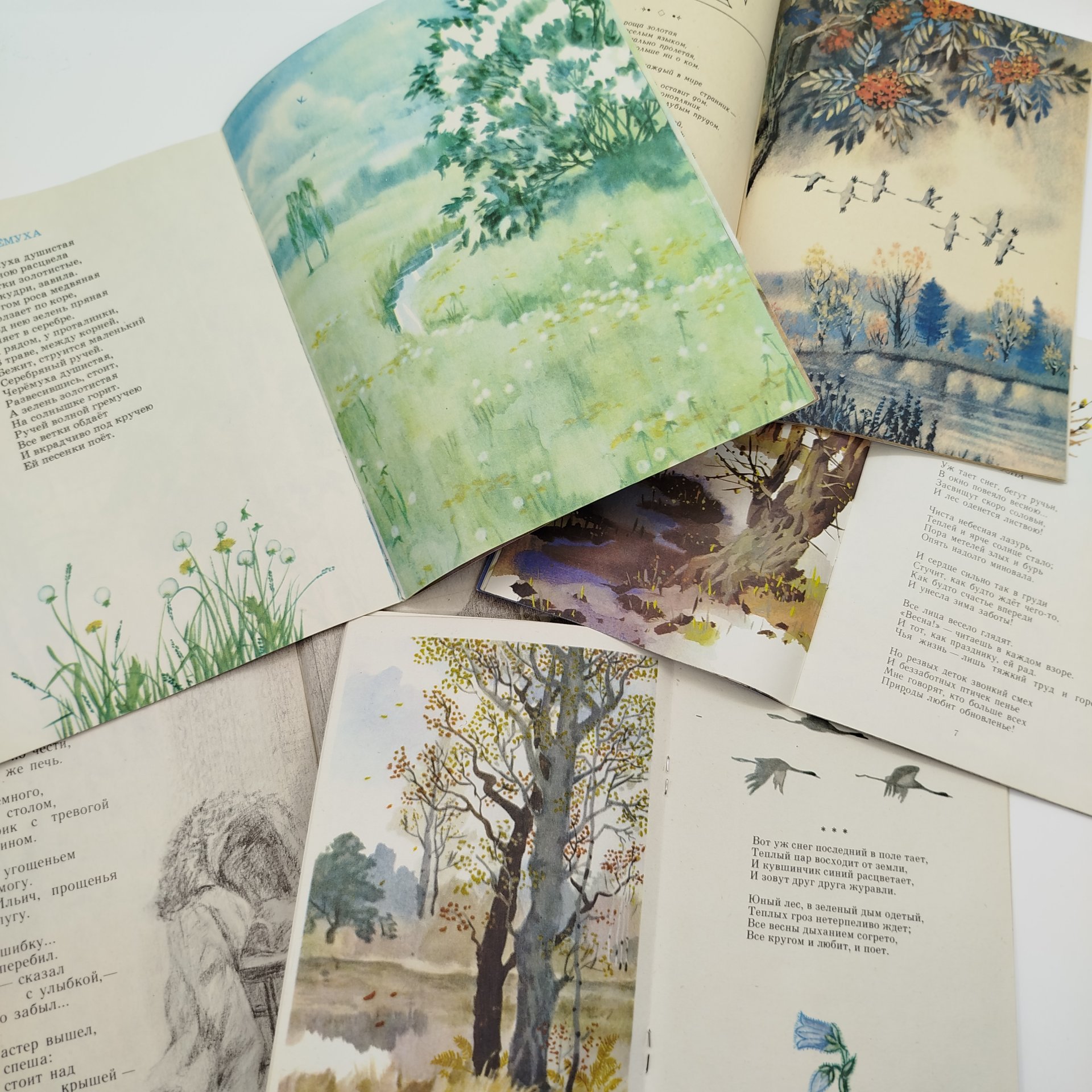 Набор из 5-ти детских книг (С.А. Есенин "Черёмуха", А.Т. Твардовский "Ленин и печник", А.К. Толстой "Колокольчики мои...", А.Н. Плещеев "Детство"), Издательство "Веселка", бумага, печать, СССР, 1979-1985 гг.