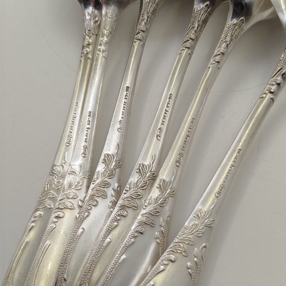 Набор из 6-ти чайных ложек, украшенных растительным декором,