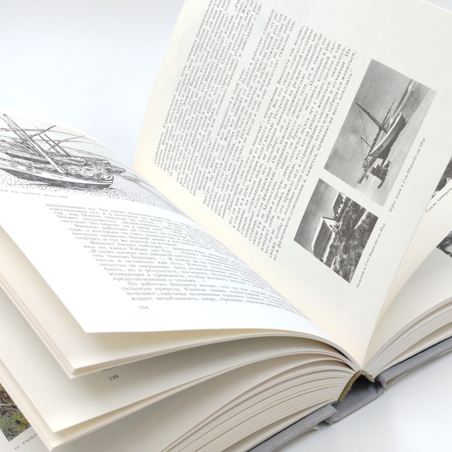 Книга "Жизнь Ван Гога", Анри Перрюшо, Издательство "Прогресс"