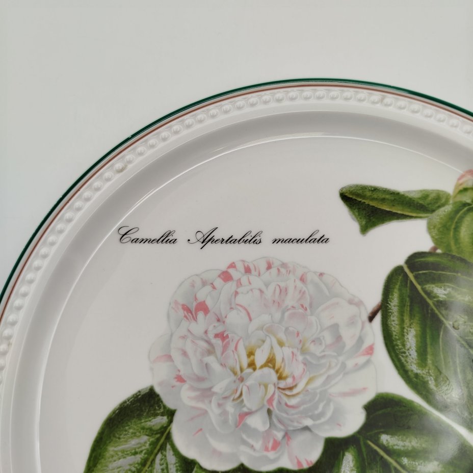 Тарелка декоративная с изображением "Camellia Apertabilis maculata" из серии "Камелии", автор Nicolas Liex (Никола Лие), фарфор, деколь, Villeroy & Boch, Люксембург, 1993 г., Villeroy & Boch