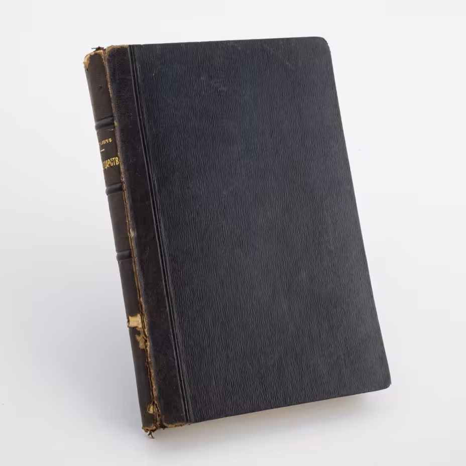 Книга  Г. Василича "Междуцарствие и восстание 1825 года" (в 2 частях)
