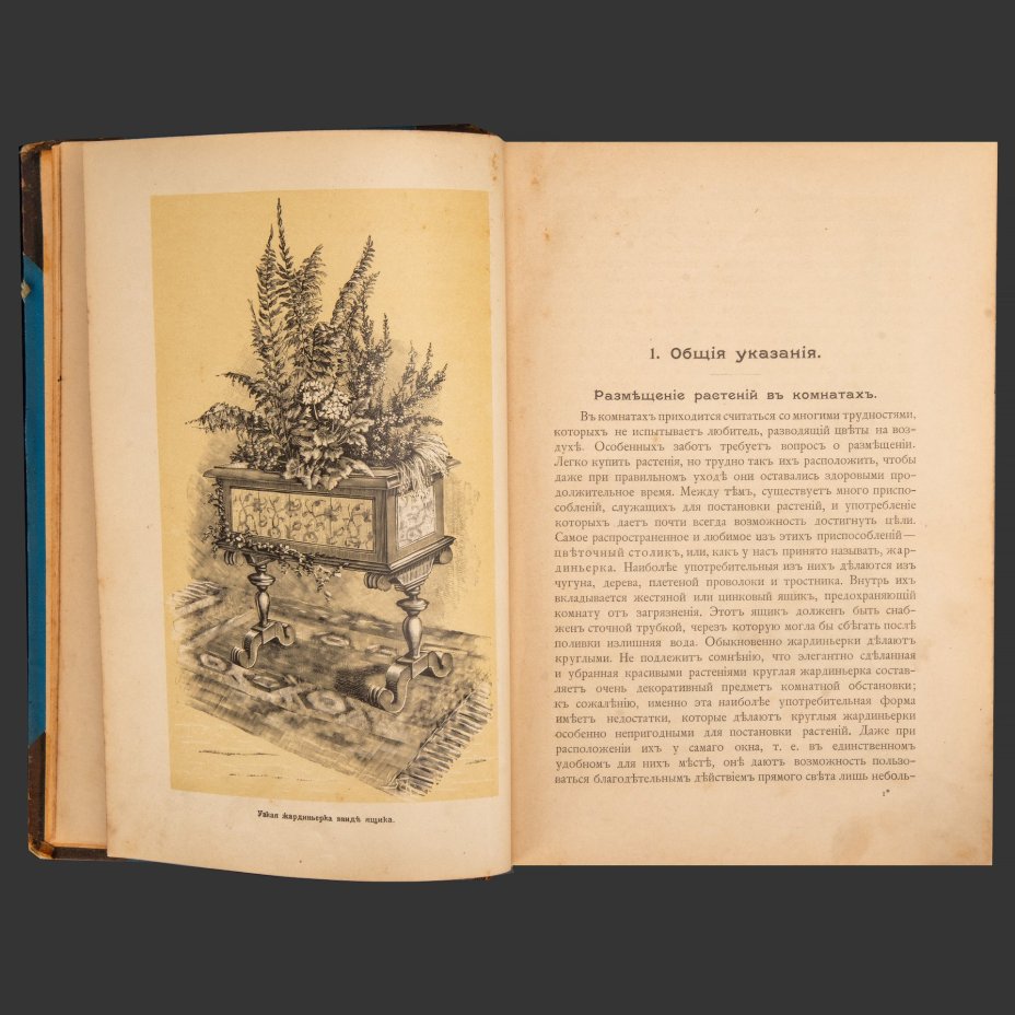 Гесдерфер М. "Комнатное садоводство. Уход за комнатными растениями, их выбор и размножение" (практическое руководство для любителей и садоводов), бумага, печать, коленкор, кожа, тиснение, Издание А.Ф. Девриена, Российская империя, 1898 г.