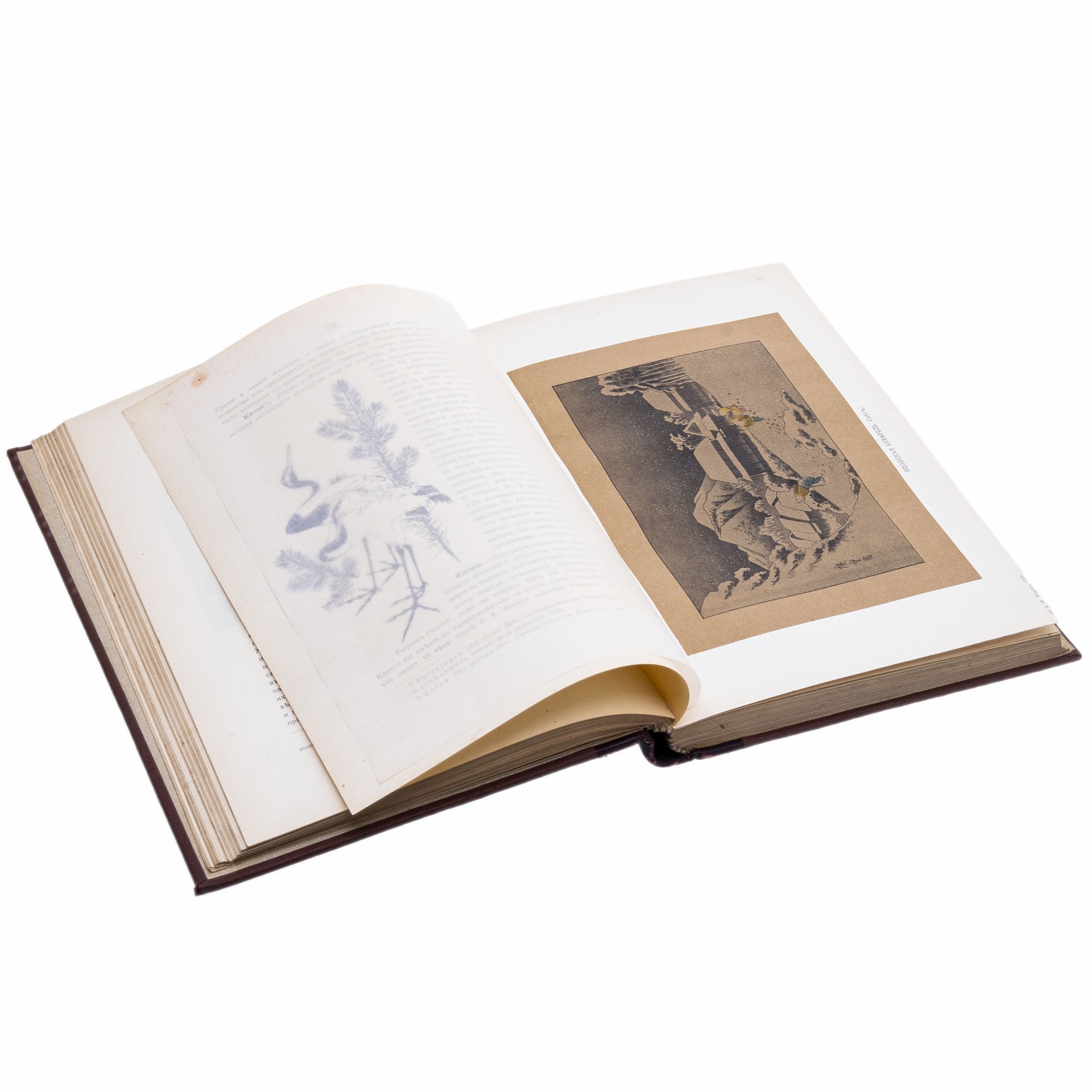 Книга К. Байэ "История искусств", Издание С.В. Кульженко