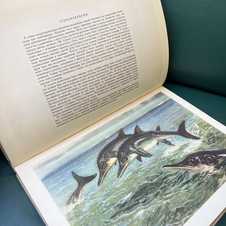 Книга проф. д-ра Иозефа Аугусты "По путям развития жизни" с иллюстрациями Зденека Буриана, бумага, печать, Издательство «Артия», Чехословакия, 1959 г.