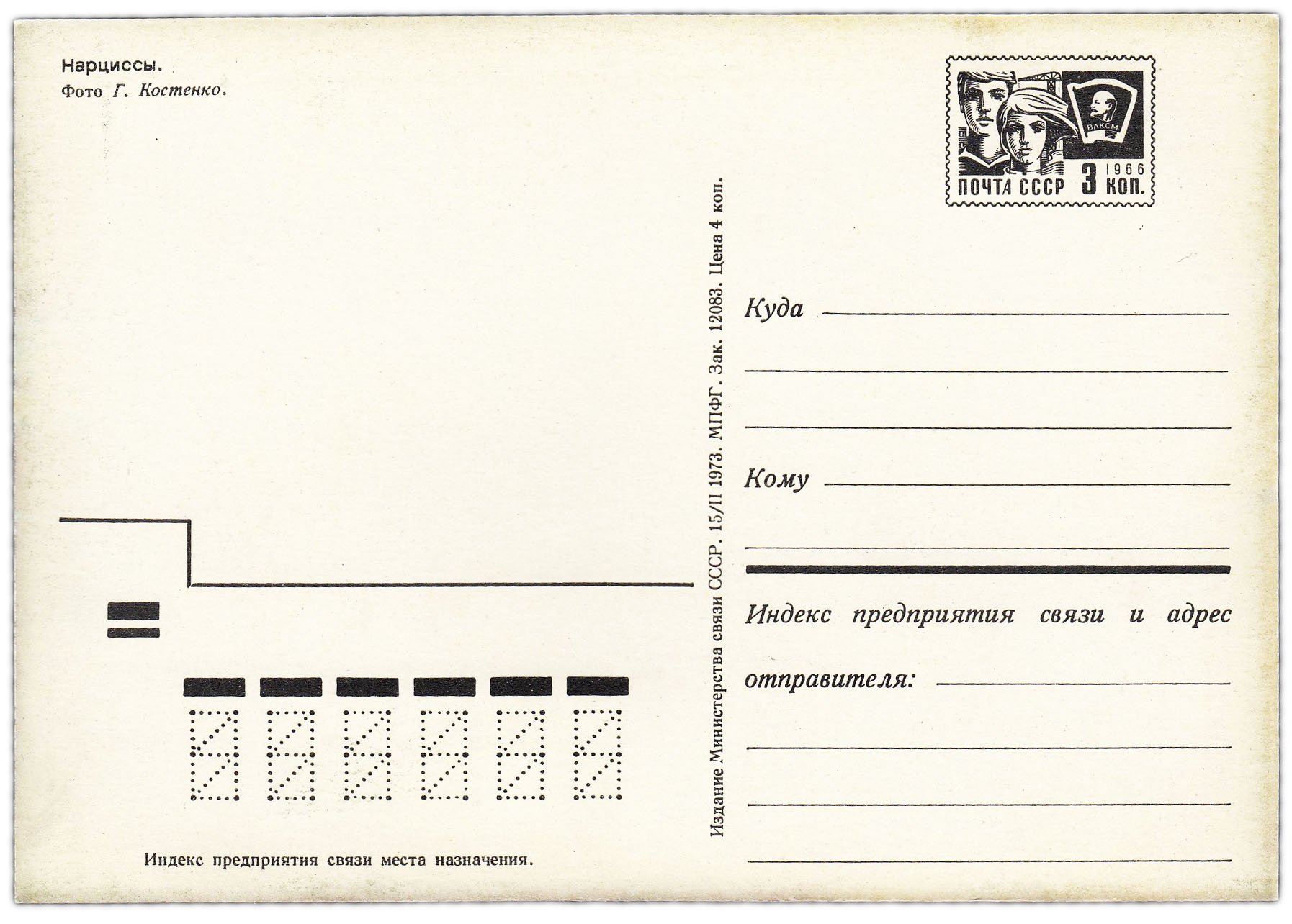 Открытка (открытое письмо) "Нарциссы" фот. Костенко 1973