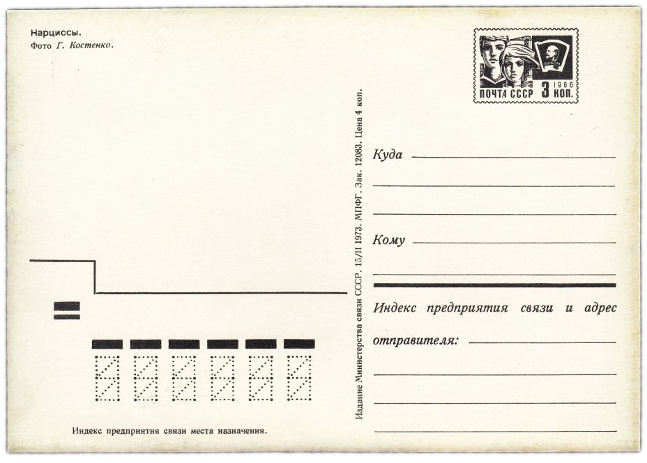 Открытка (открытое письмо) "Нарциссы" фот. Костенко 1973