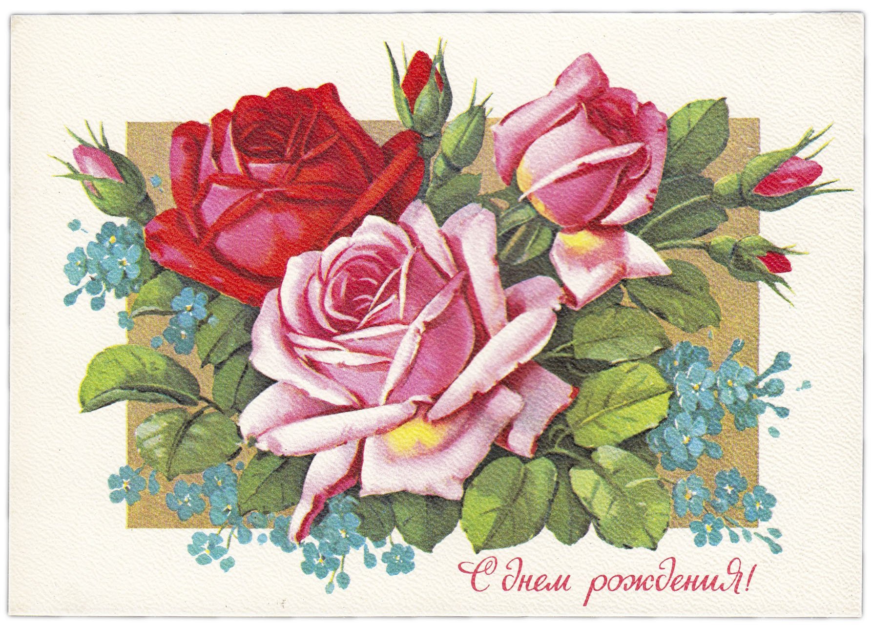 Открытка (открытое письмо) "С Днем рождения!" фот. Куртенко 1979