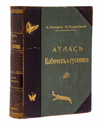 Ламперт К., Холодковский Н., "Атлас бабочек и гусениц", бумага, печать, издание Девриена А.Ф., Российская Империя, 1913 г.