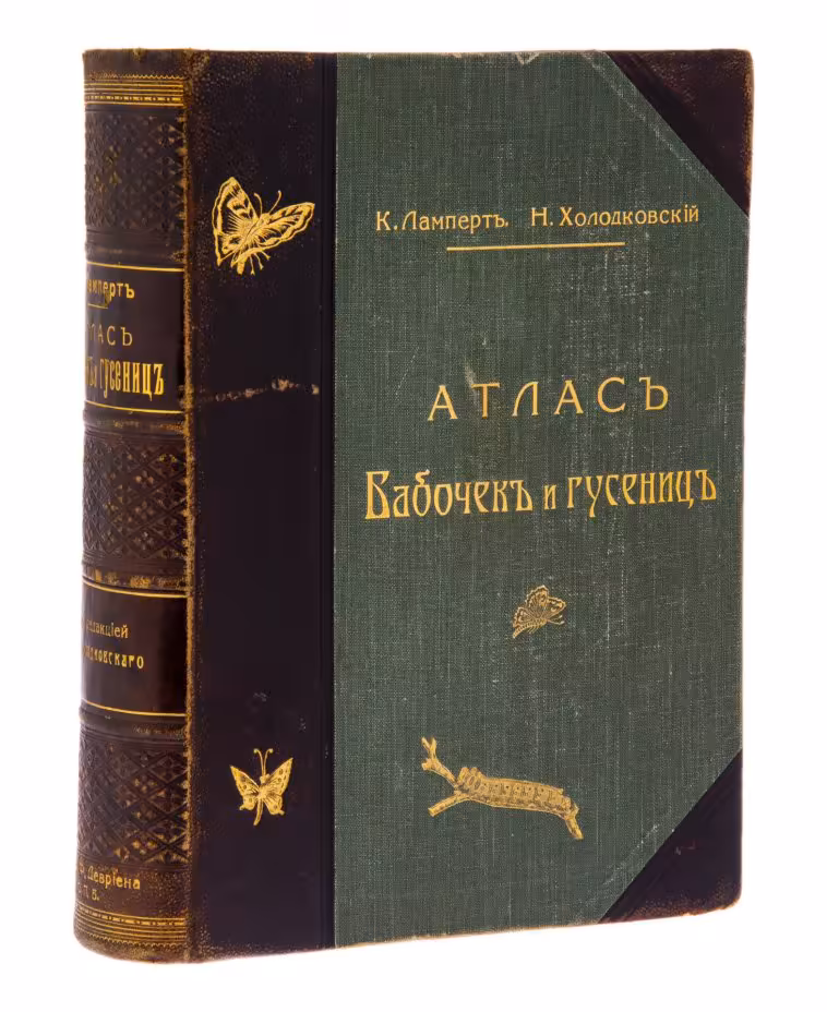 Ламперт К., Холодковский Н., "Атлас бабочек и гусениц", бумага, печать, издание Девриена А.Ф., Российская Империя, 1913 г.