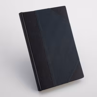 Книга под ред. Э.Л. Радлова "Владимир Соловьев. Письма", Издательство "Время"