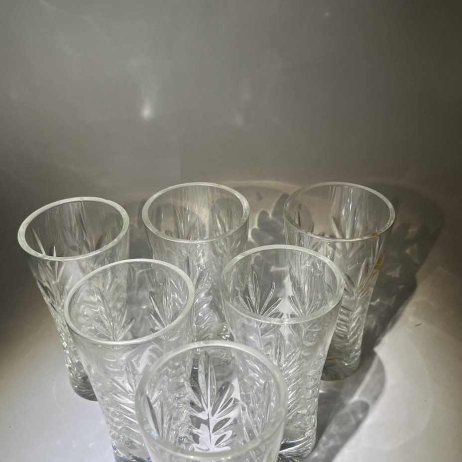 Набор из 6 стопок с растительным декором