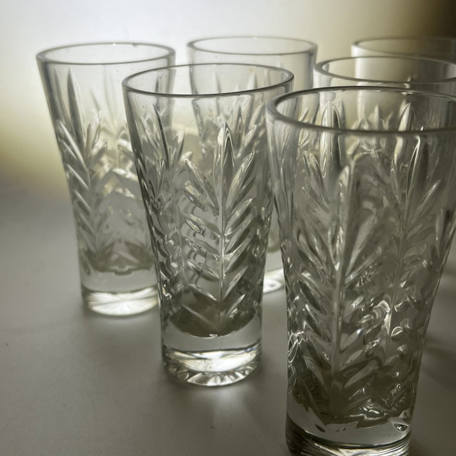 Набор из 6 стопок с растительным декором