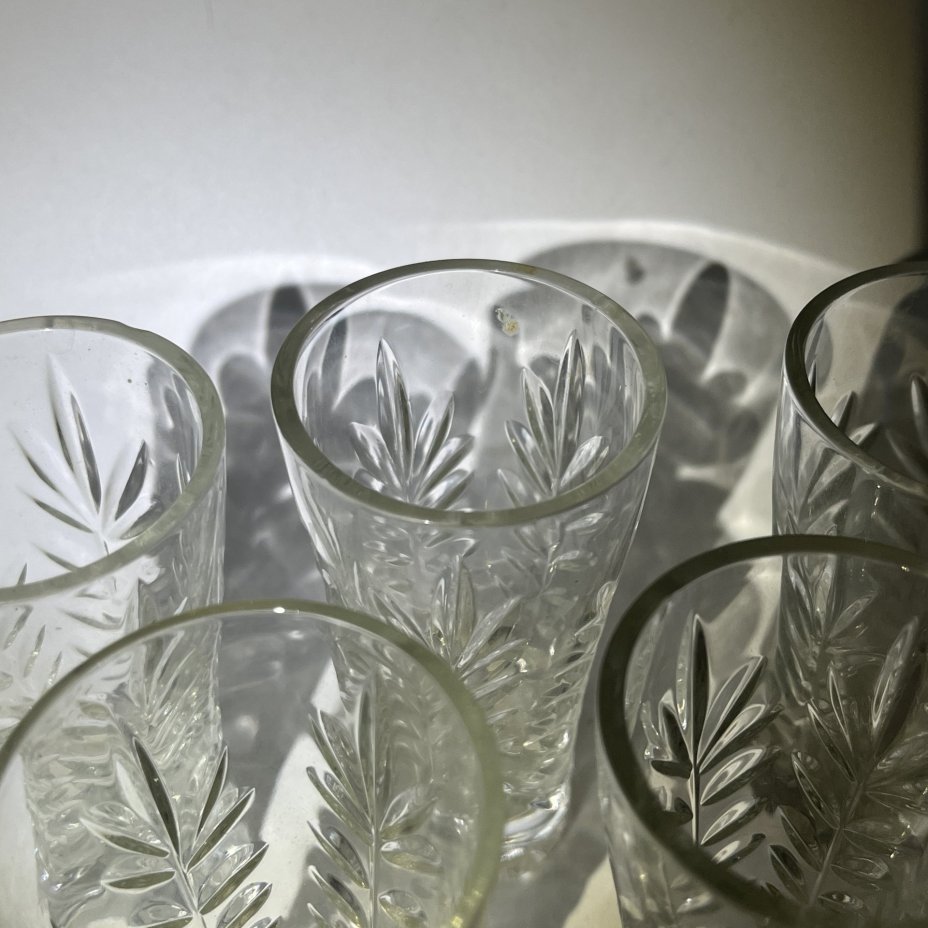 Набор из 6 стопок с растительным декором