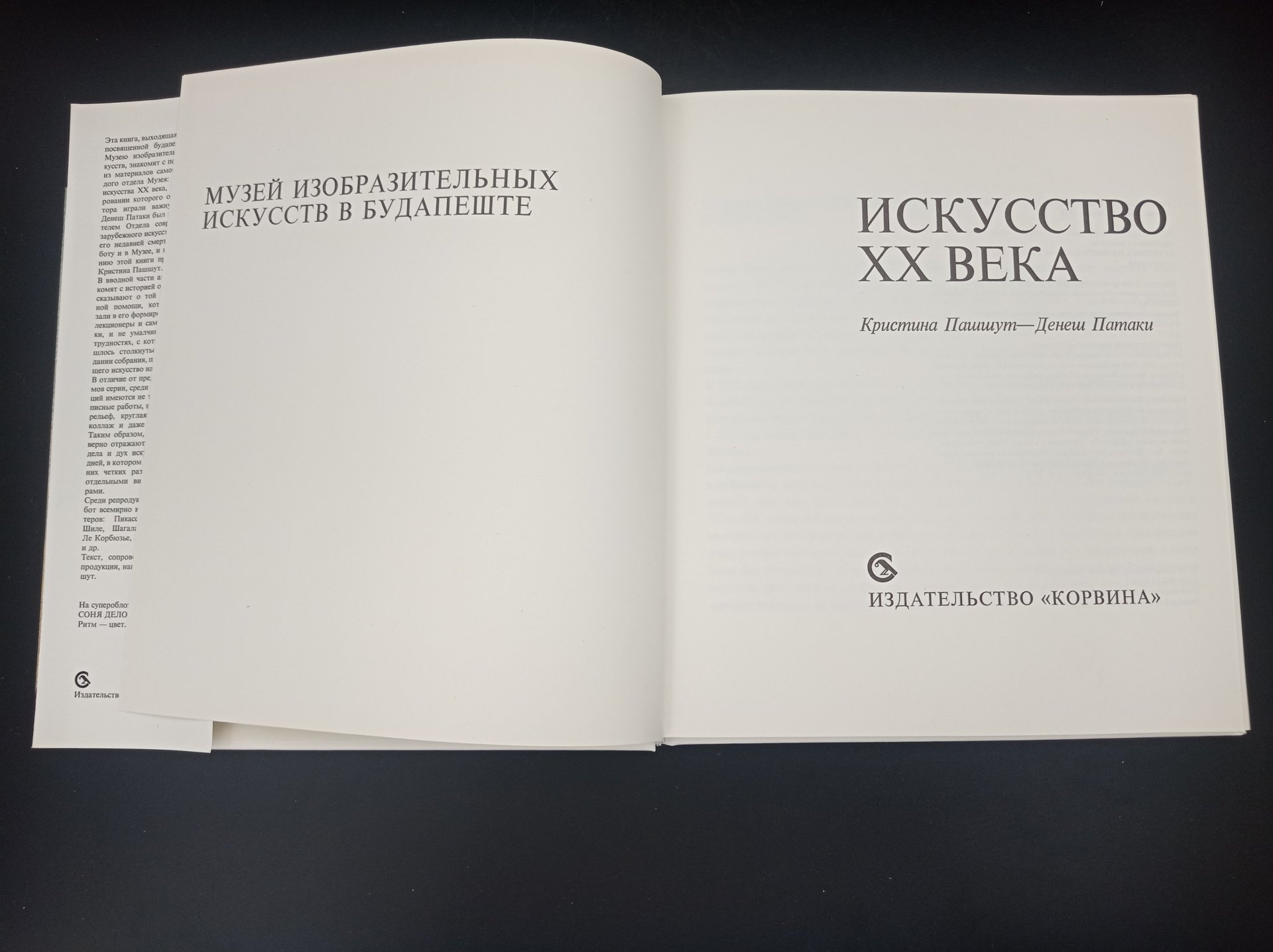 Книга "Искусство XX века",  авторы Кристина Пашшут, Денеш Патаки, Издательство «Corvina (Корвина)»