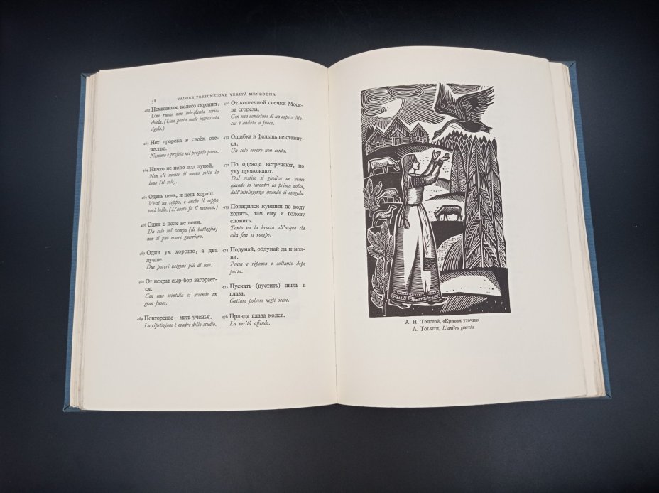 Книга "Proverbi della Russia" (Русские пословицы), автор Т. Гродзенская, Aldo Martello Editore