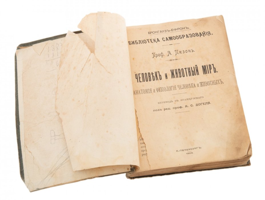 Пизон А. "Человек и животный мир", бумага, печать, Акционерное издательское общество Ф. А. Брокгауз-И. А. Ефрон, СПб, Российская империя, 1903 г.