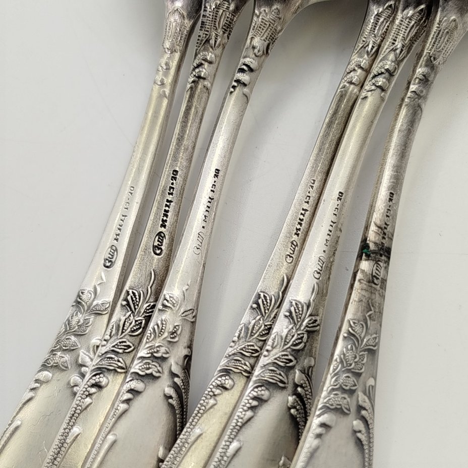 Набор из 6-ти чайных ложек с растительынм декором