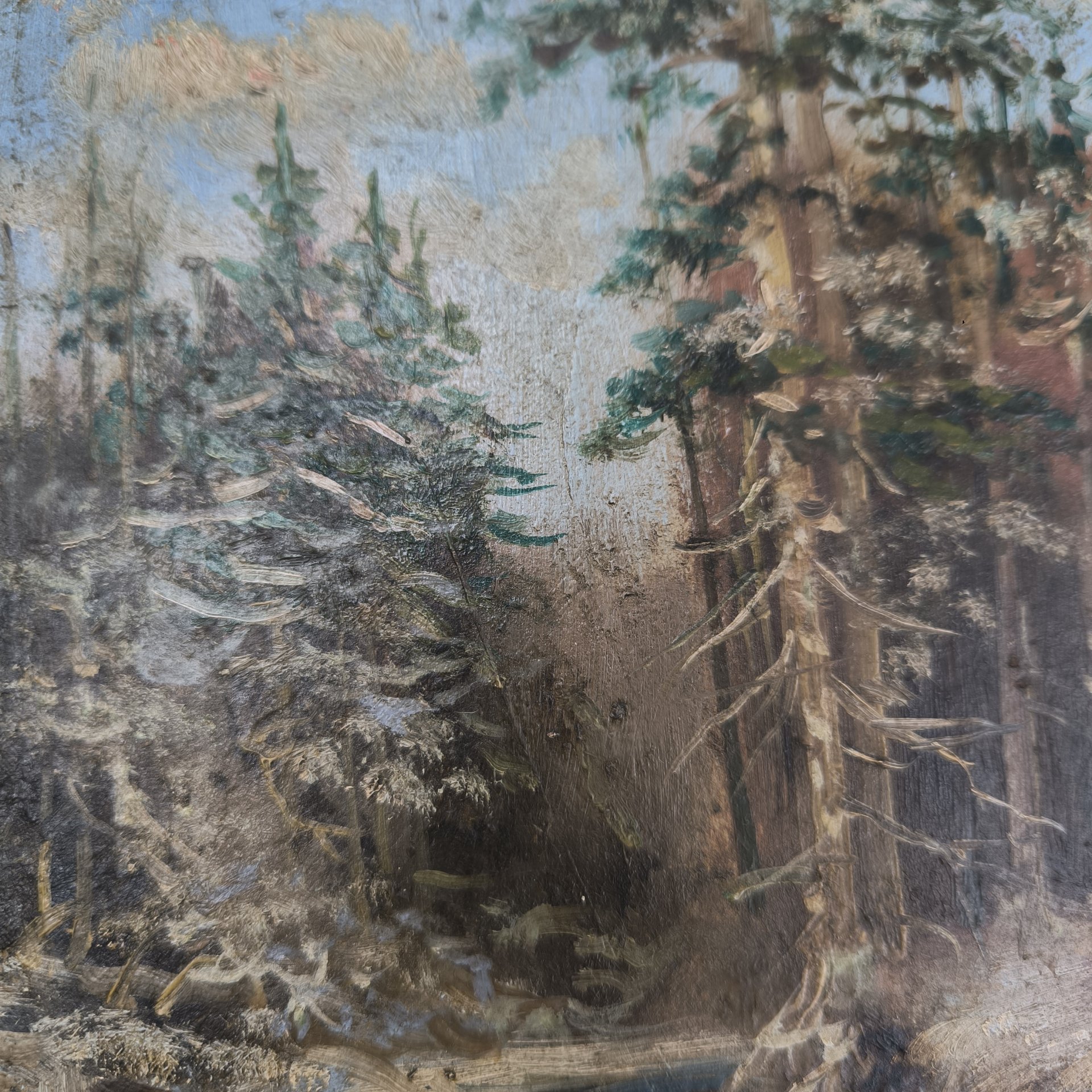 Картина "Зимний пейзаж с елями", неизвестный художник, картон, масло, СССР, 1940-1970 гг.
