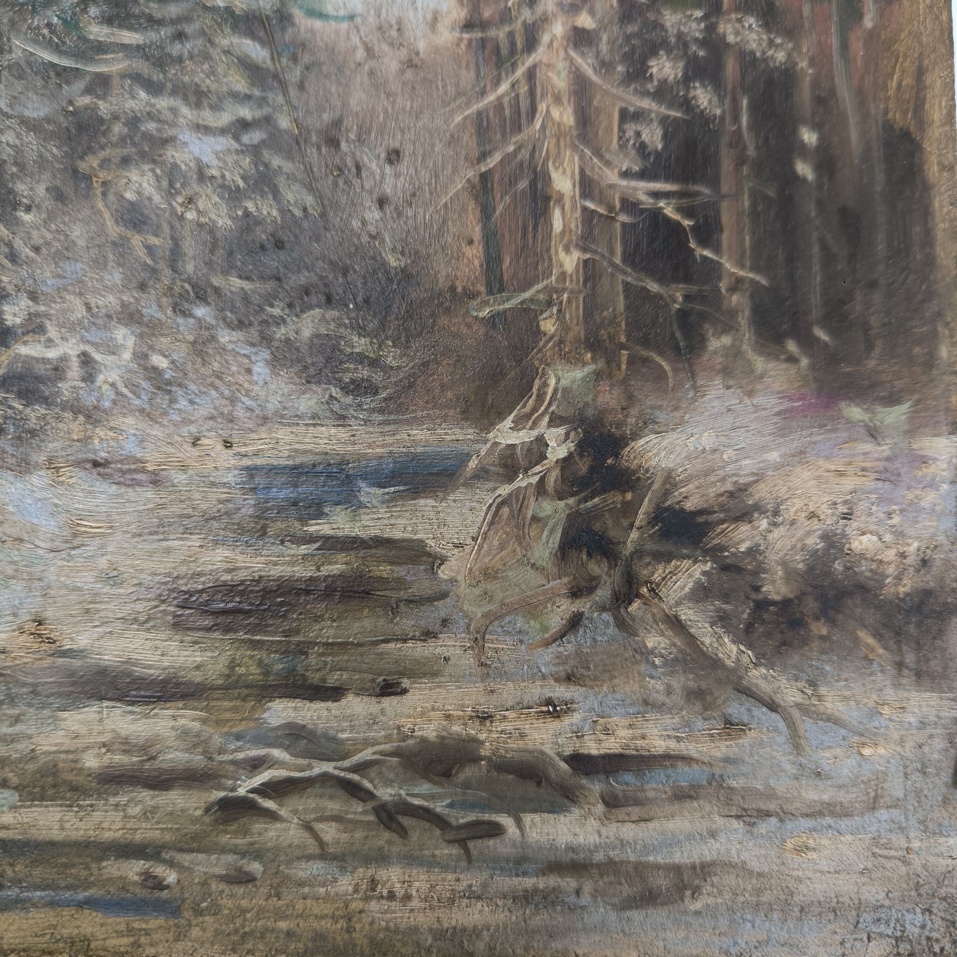 Картина "Зимний пейзаж с елями", неизвестный художник, картон, масло, СССР, 1940-1970 гг.