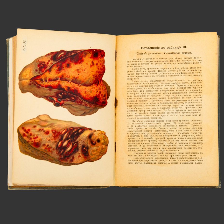 Книга, Прфессор E. Von Hofmann [56 таблиц, 193 рисунка], бумага, печать, Издательство «Практическая медицина», Российская империя, 1900 г.