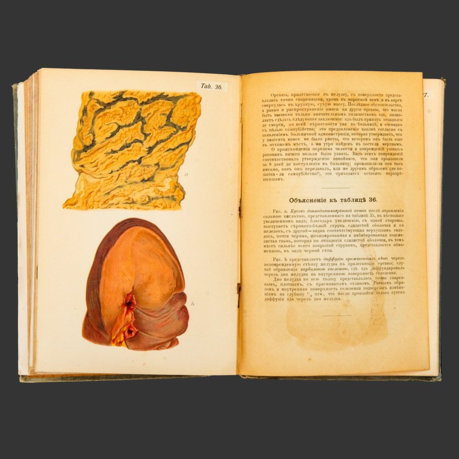 Книга, Прфессор E. Von Hofmann [56 таблиц, 193 рисунка], бумага, печать, Издательство «Практическая медицина», Российская империя, 1900 г.