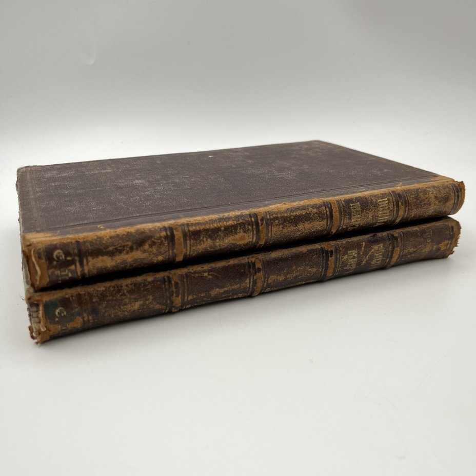 Толстой Л.Н. "Война и мир" (тома 4 и 5)