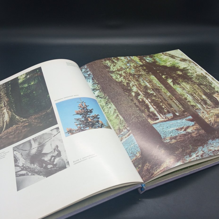 Книга "По Кавказскому заповеднику", Ю.К. Ефремов, Издательство "Советская Россия", бумага, печать