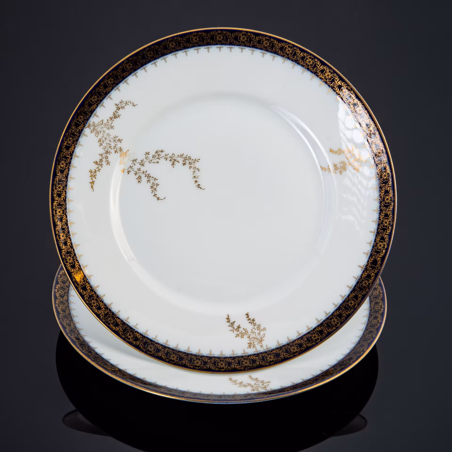 Пара обеденных тарелок с растительным декором, Rosenthal (Розенталь)
