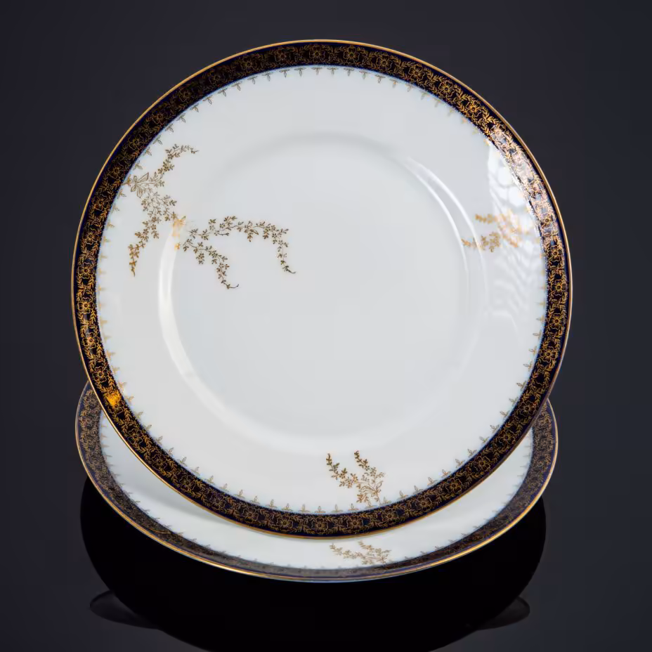Пара обеденных тарелок с растительным декором, Rosenthal (Розенталь)